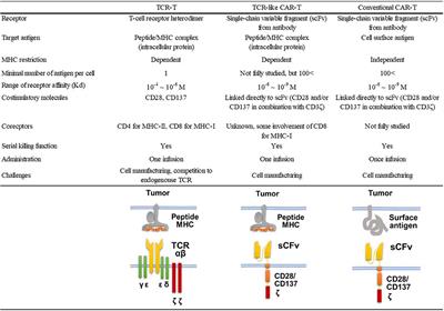 TCR-Like CAR-T Cells Targeting MHC-Bound Minor Histocompatibility Antigens